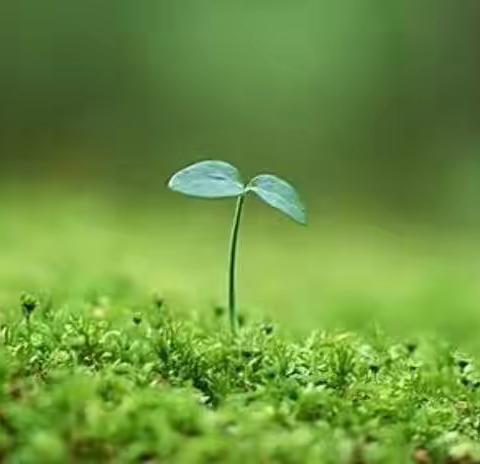 读《优秀教师的自我修炼》有感