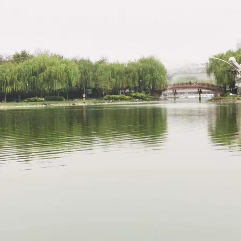 不负南湖春光好  师徒欢聚游曲江