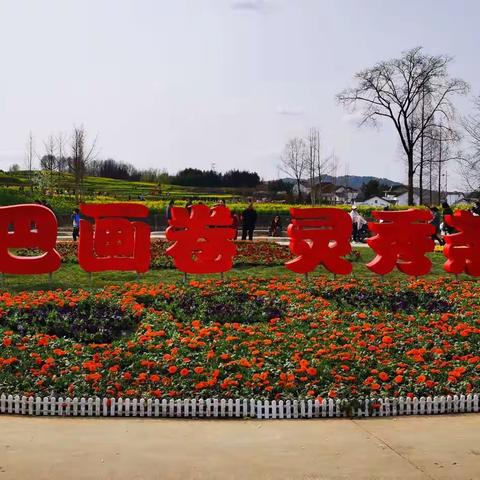 秦巴画卷    灵秀茶乡——美哉西乡！