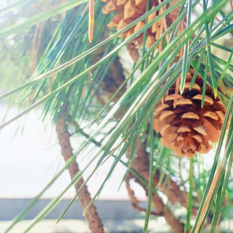 自主研修——坚守初心