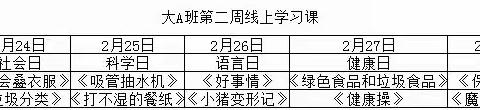 停课不停学，成长不延期一玛嘉莉幼儿园大Ａ班线上课程开课啦！