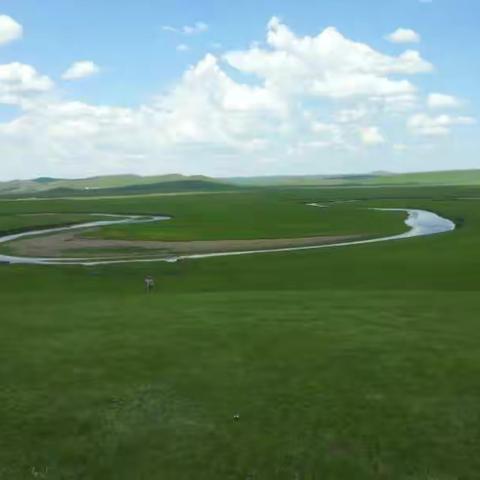 乐游呼伦贝尔大草原