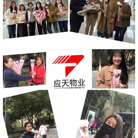 应天物业三月美篇