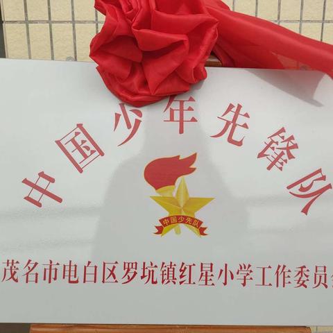 【罗坑镇红星小学】中国少年先锋队茂名市电白区罗坑镇红星小学第一次代表大会暨少工委成立仪式！