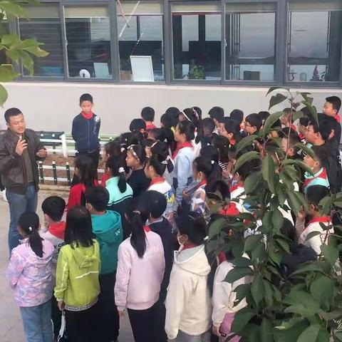 “不忘初心助实践 劳动教育促成长“劳动实践活动