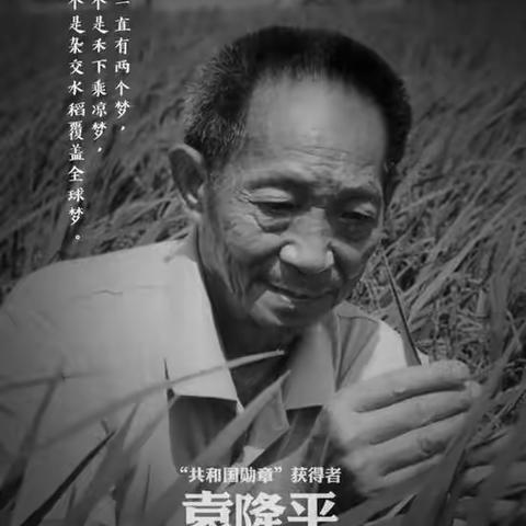 “禾下乘凉梦 送别袁隆平”——朱老庄镇中心小学开展缅怀袁隆平院士主题活动