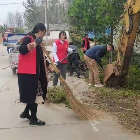 杨庄村党员全体干部带头环境整治