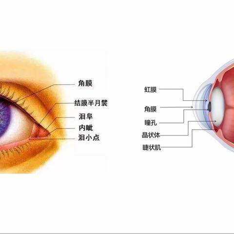 科学防控近视，共筑光明未来