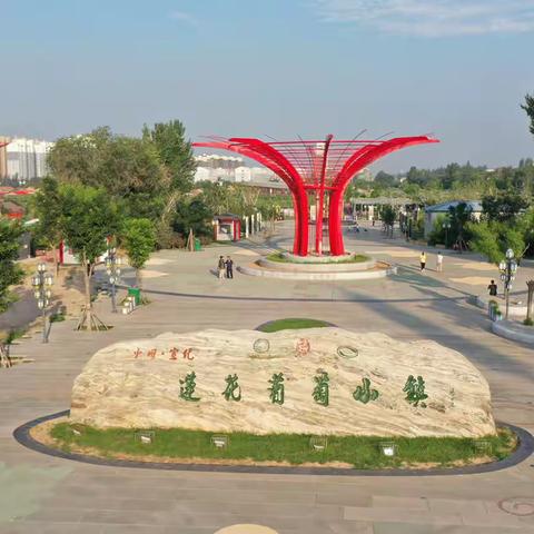 又是一年采摘季，正是葡萄飘香时