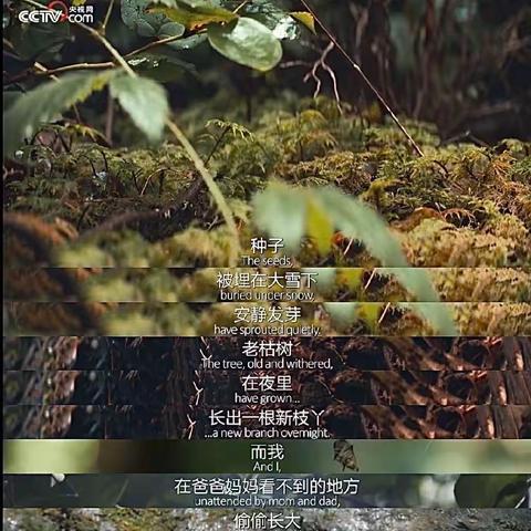 Love,Sorrow and Dreams in Poems