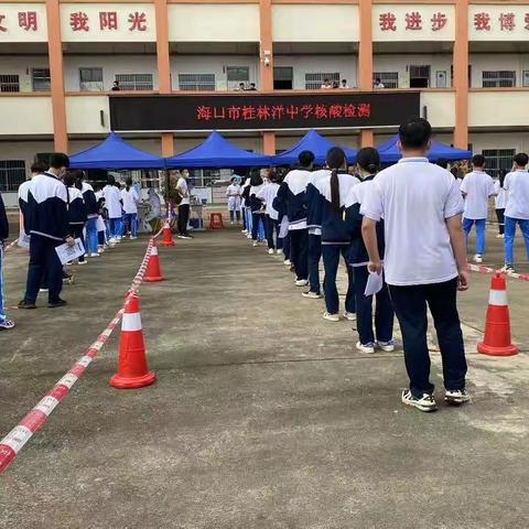 海口市桂林洋中学（九6班）“核酸检测，守护你我他”