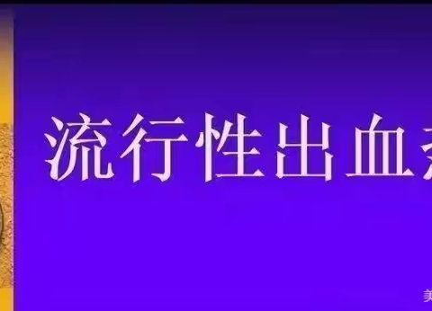 流行性出血热防治知识