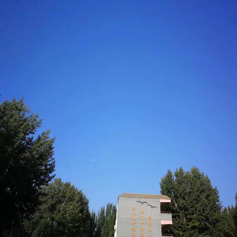 【居家“战”疫·榜样的力量】丛阳小学“居家小能手”四年级选评