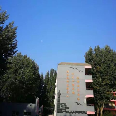 【三创四建 文明礼仪我先行】                 丛阳小学四年级暑假实践活动