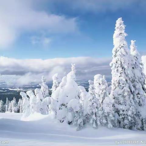 相聚长春雪中情
