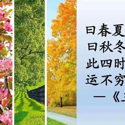 艺术幼儿园 主题活动 冬天来了