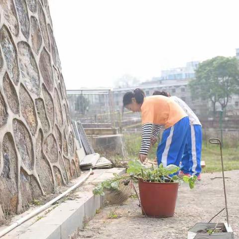 云市中学“劳动进课堂”主题大扫除活动