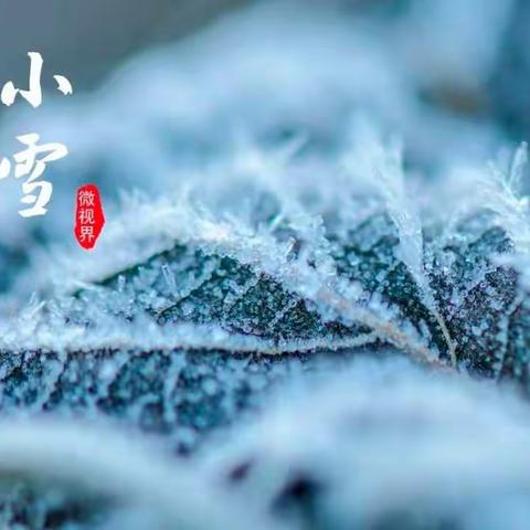 【联校•节气】今日小雪—久雨重阳后，清寒小雪前。