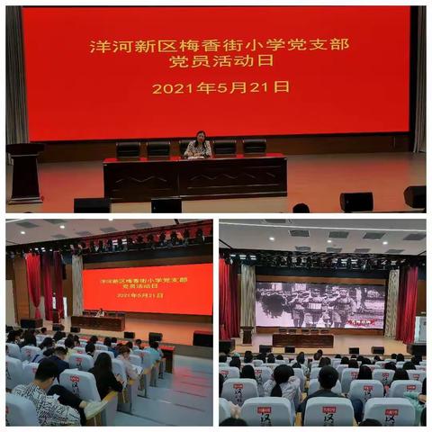 洋河新区梅香街小学党支部党员活动日活动