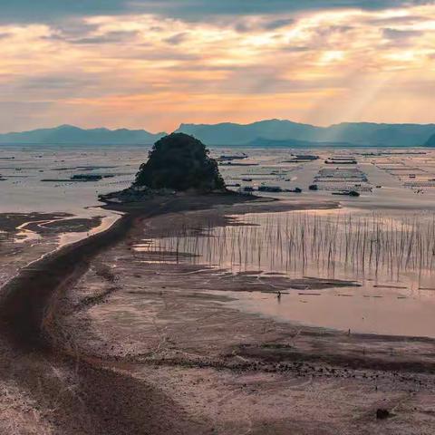 一路向南 去追寻最美滩涂