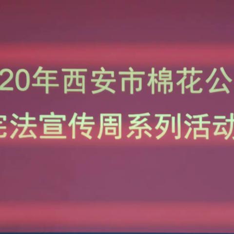 西安市供销合作联社市棉花公司开展2020年宪法宣传周系列活动