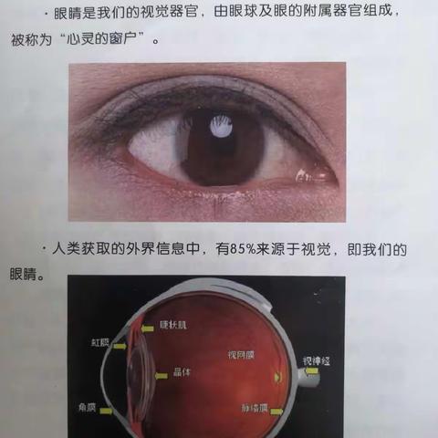 科学用眼  精彩世界