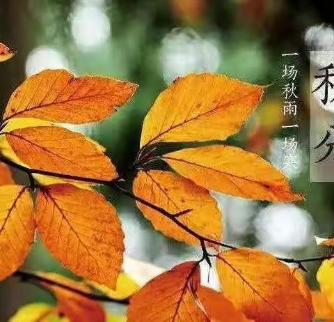 传承国学文化        走进秋分时节