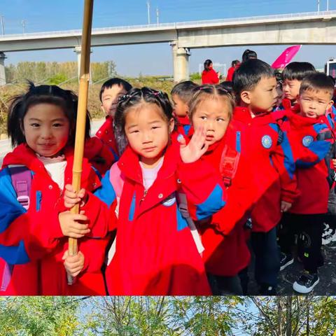 阳光幼儿园🌼大2班🌼第9️⃣周成长记录📝