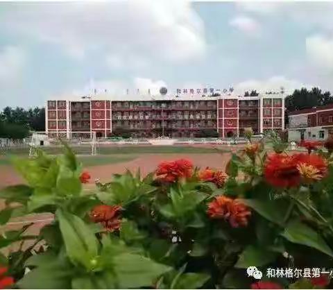 砥砺前行  扬帆起航——一年级教研活动