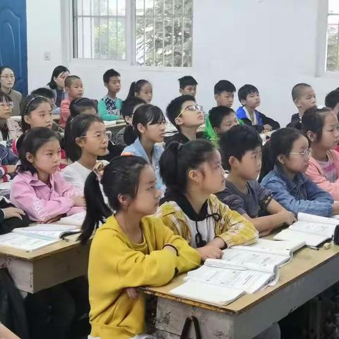 携手共发展  研学同进步——茨芭镇中心校“三同”教研活动（六年级数学）