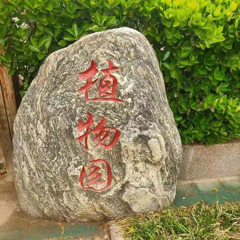 雨后植物园，别样的美丽