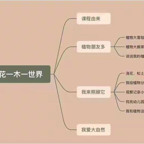 宿迁市实验小学幼儿园幼小衔接之“一花一木一世界”