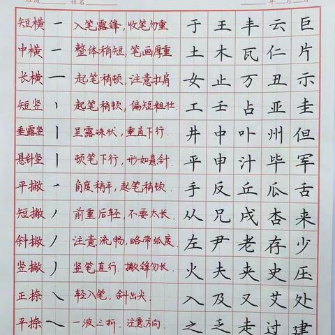 泰华小学部二课堂活动
