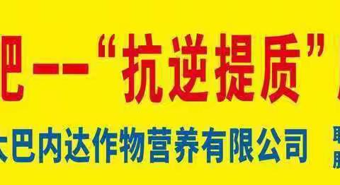 碧卡抗逆提质大量元素水溶肥教您辨真伪👇🏽👇🏽👇🏽