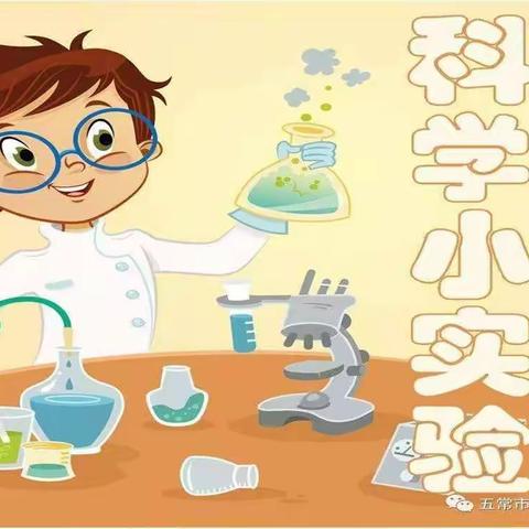 【科创课程】一年三班十一月份科学小实验集锦