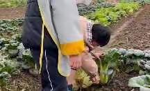 我实践 我体验 我快乐