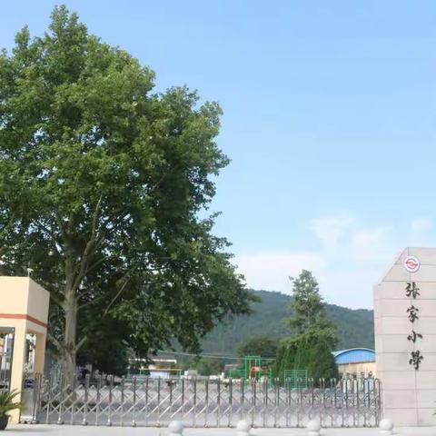 广元市昭化区清水镇张家小学“延期不停教、停课不停学”告家长书