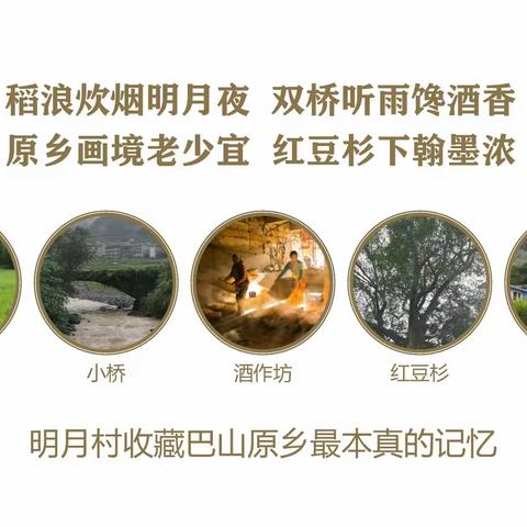 驻城口县咸宜镇明月村工作周记（10.25-11.12）