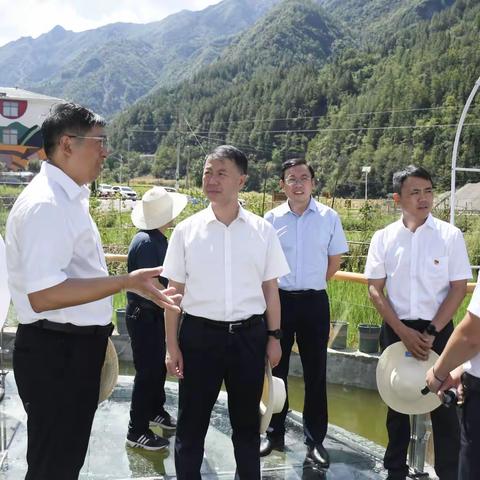 驻城口县咸宜镇明月村工作情况（8月）