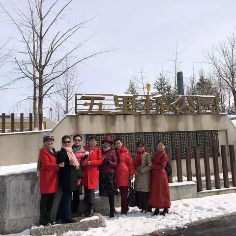踏雪红梅朵朵开