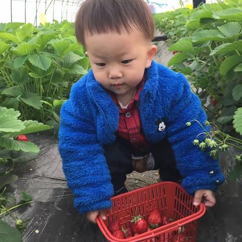 安安的成长记录
