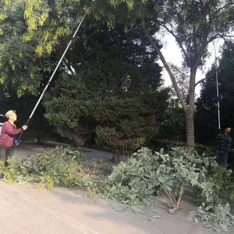 尧都广场地震应急避难场所项目维护启动