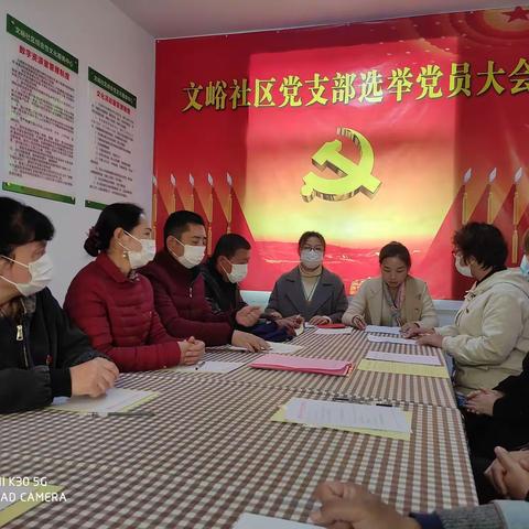 车站街道文峪社区党支部选举党员大会召开