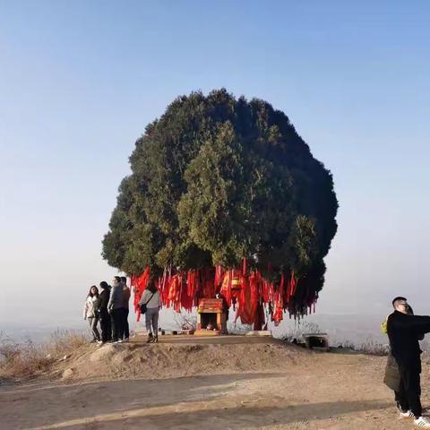 冬游白雀寺
