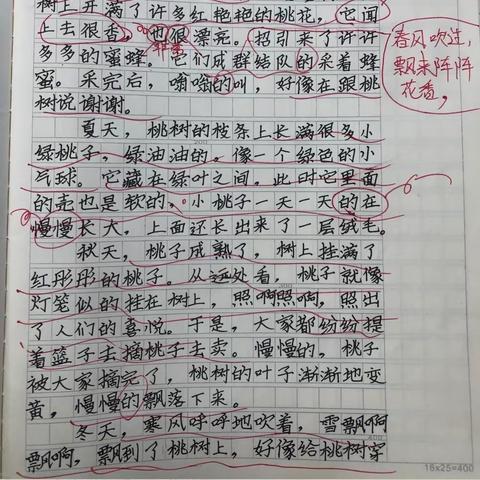 305 《这儿真美》优秀习作