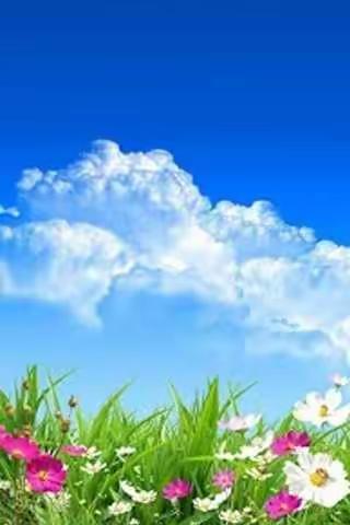 五月劳有所获————宾县第七小学五年五班线上教学纪实