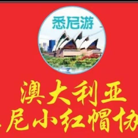 游悉尼内西区北欧风情莱卡特小镇，感受悉尼大学人文气息一日游