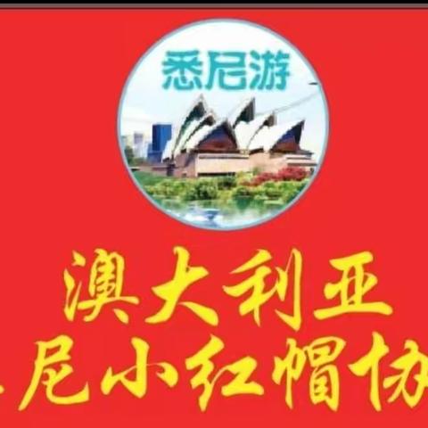 小红帽协会周日海边步道观景，赏蓝花樱一日游