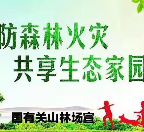 关山林场杏咀庙管护站：春季护林防火工作回头望