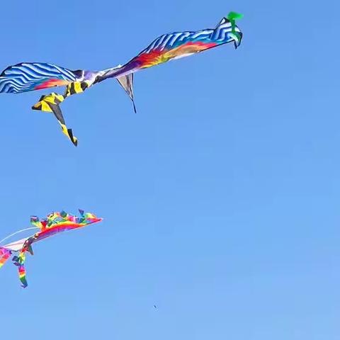 “拥抱春天，融入自然”-记云和县赤石乡中心小学2022年春季研学活动